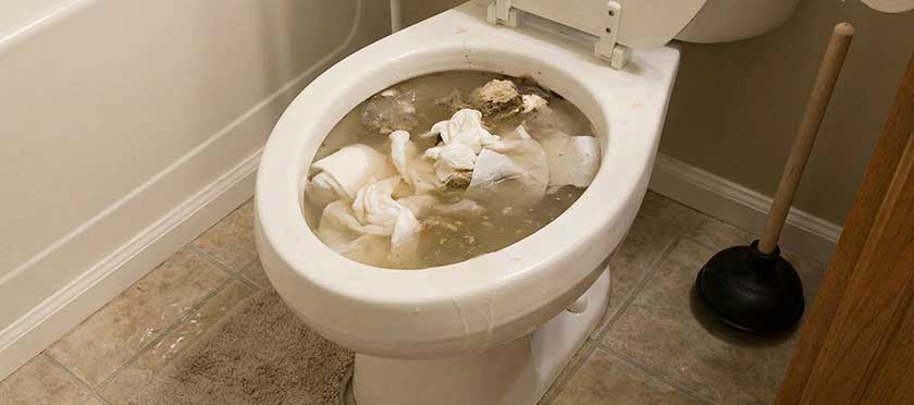 Clogged Toilet Plumbing Services in Gauteng